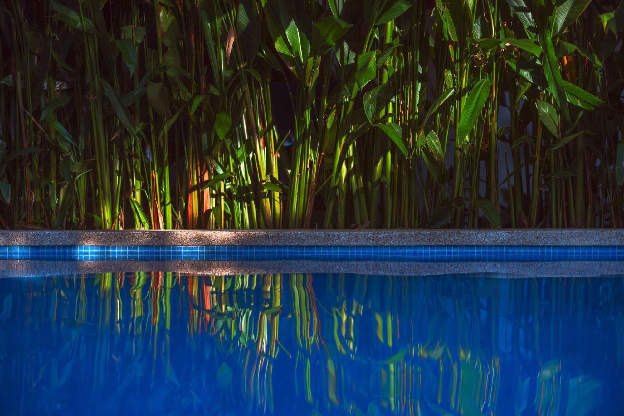 Black Bamboo Puerto Viejo de Talamanca Exteriör bild